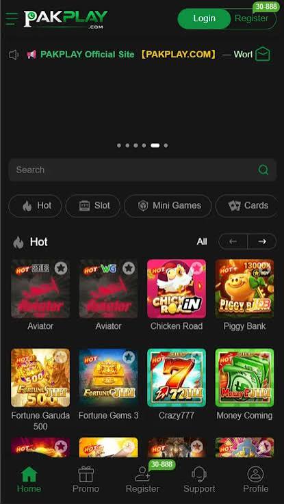 pakplay apk