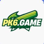 pk6 game